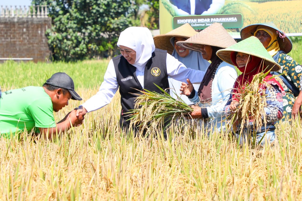 Khofifah Bilang Jatim Mampu Jadi Lumbung Pangan Nasional Selama Tiga Tahun
