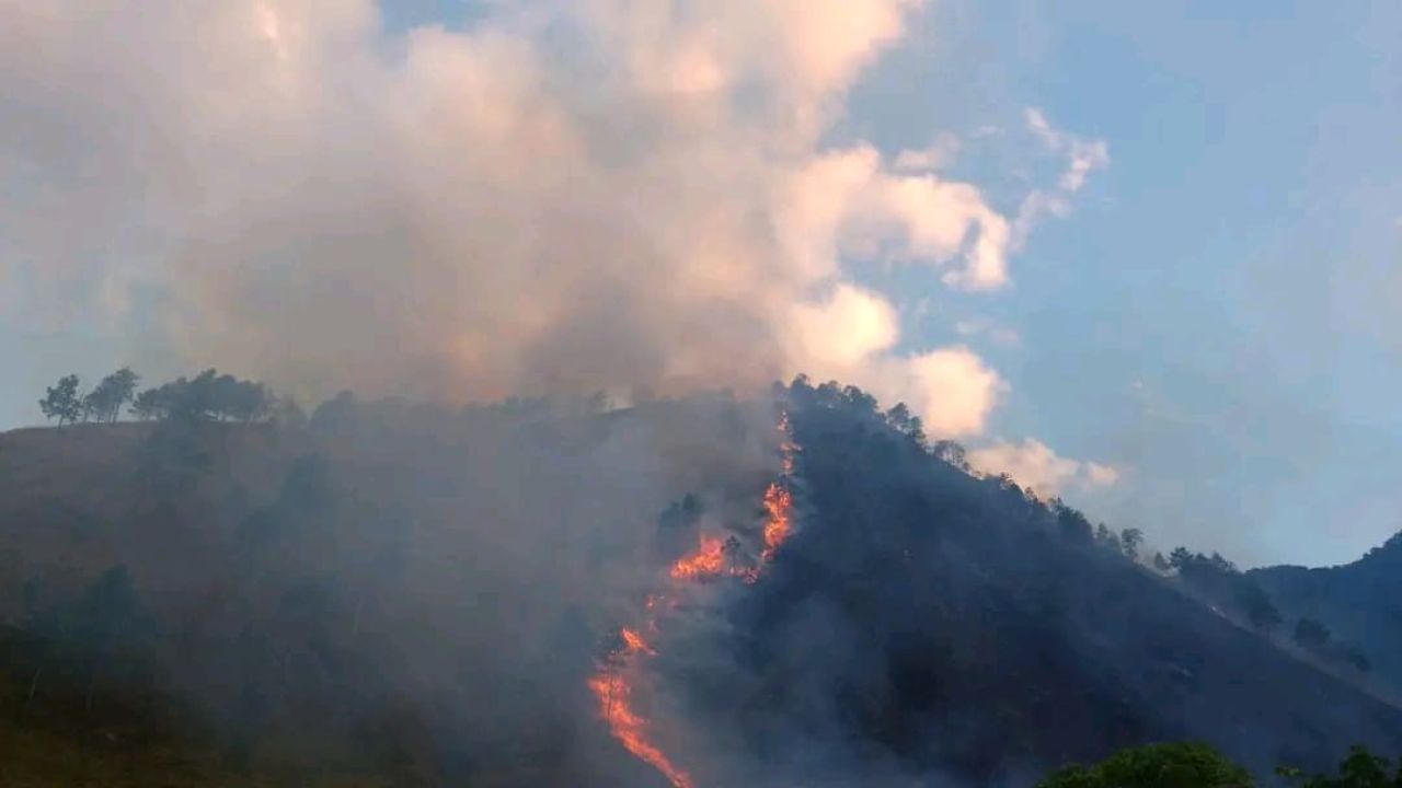 Kebakaran Lahan dan Hutan Kembali Terjadi di Dairi, Provinsi Sumatera Utara