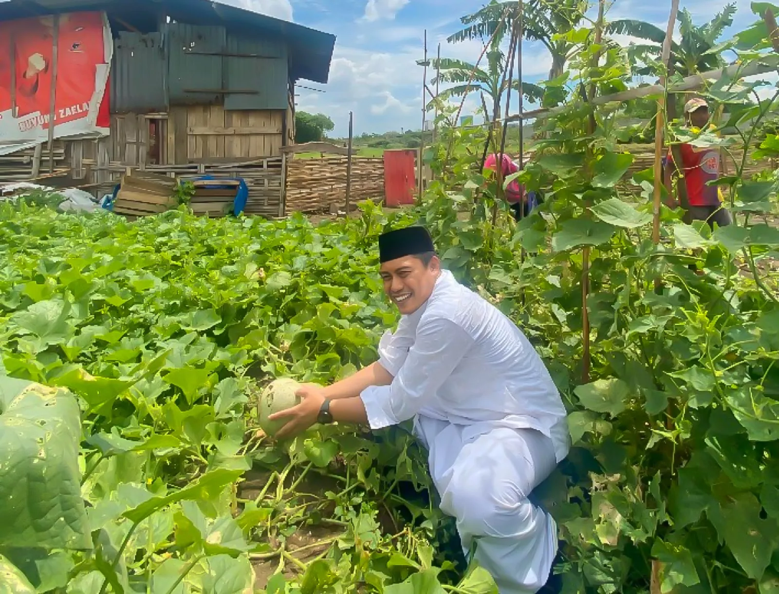 Abdul Ghoni Panen Melon Bareng Warga Bulak, Transformasi Lahan Kosong Jadi Kebun Sayur