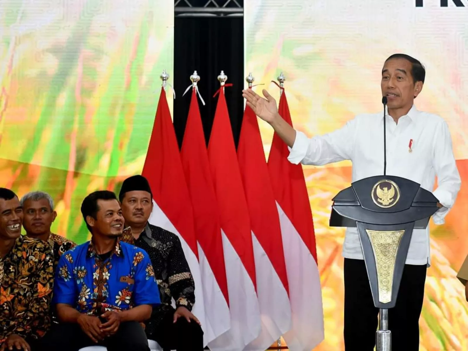 Produksi Jagung dalam Negeri Meningkat, Jokowi Puji Kerja Keras Petani