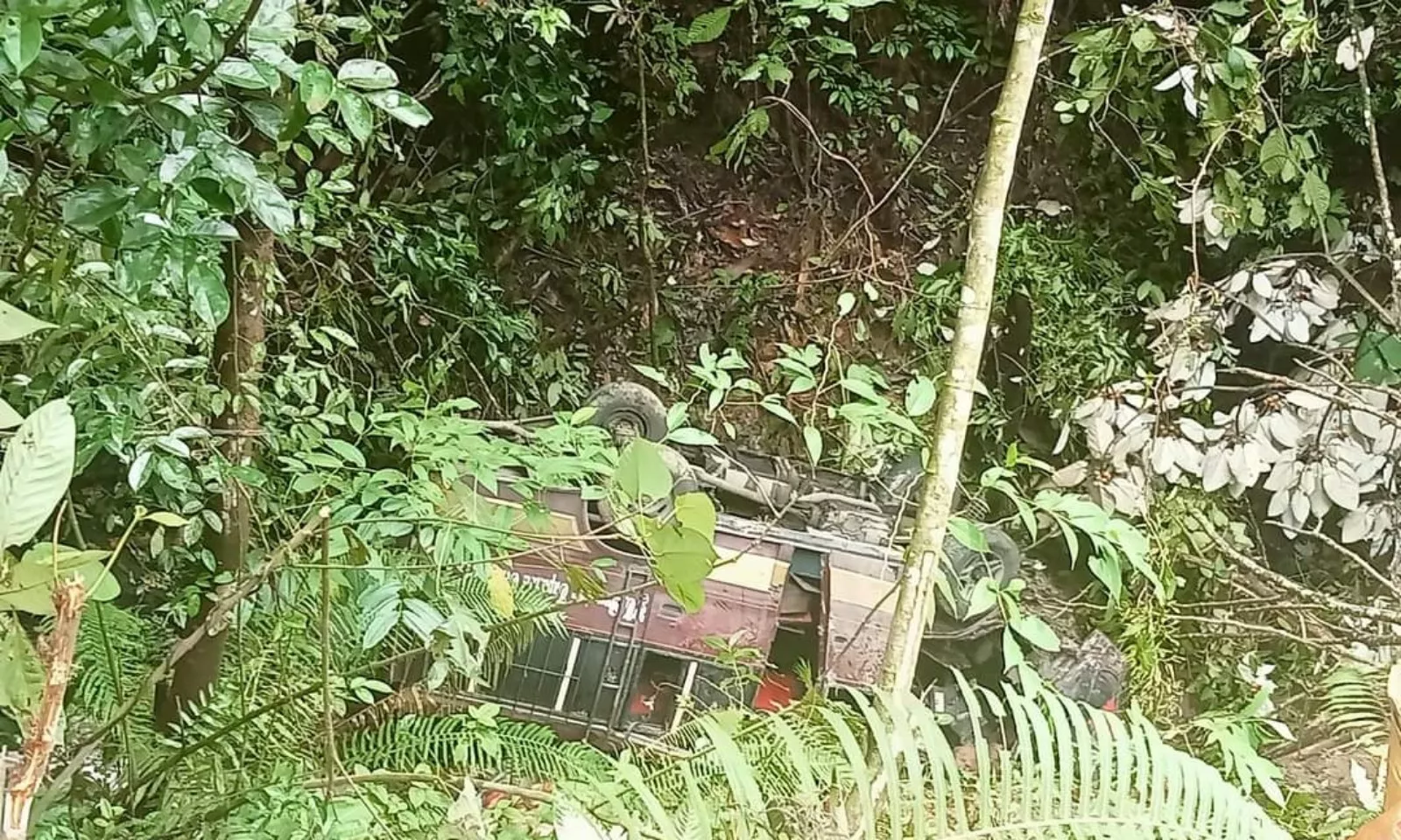 Bus Penumpang Masuk Jurang Sedalam 30 Meter, 2 Tewas dan 11 Terluka