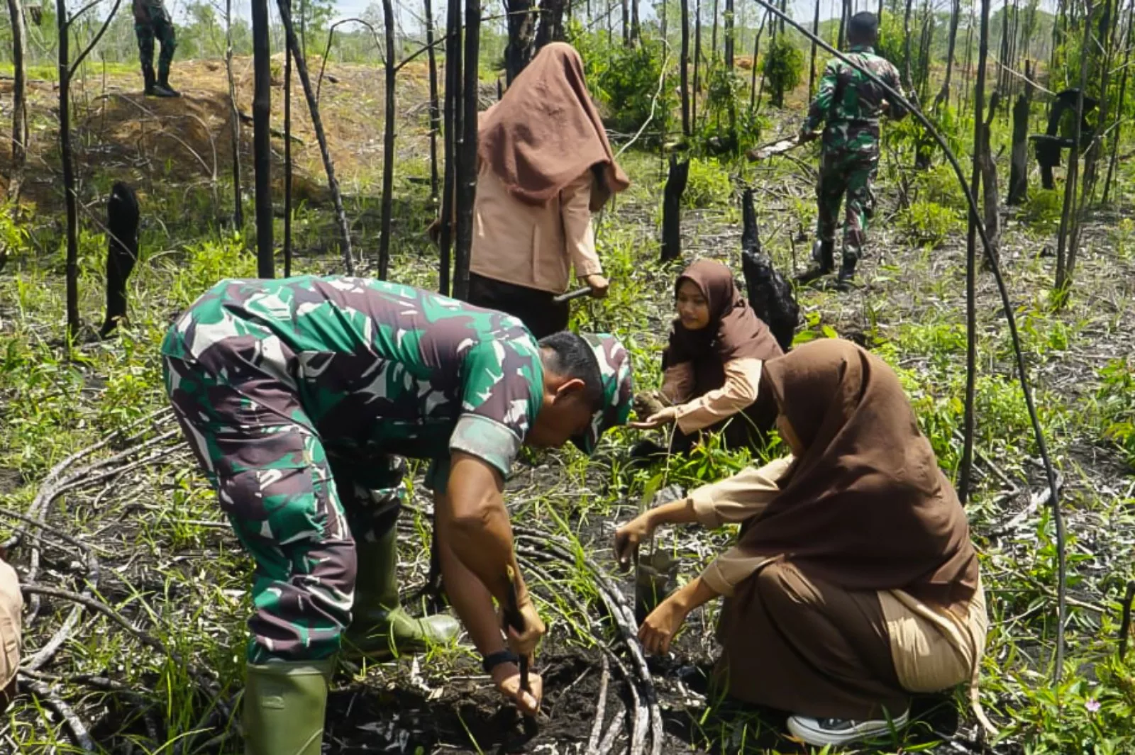 Kolonel Inf Hartono Pimpin Penanaman 600 Pohon Pala, Dorong Pemuda Jaga Alam Papua