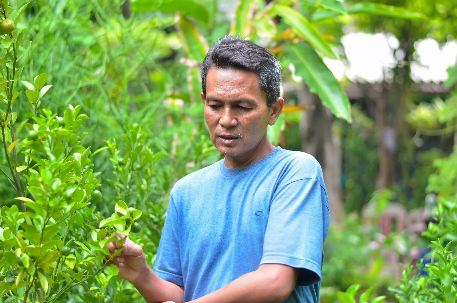 Abdul Ghoni NM Buka Suara Soal Keluhan Warga Kampung Herbal Nginden Jangkungan