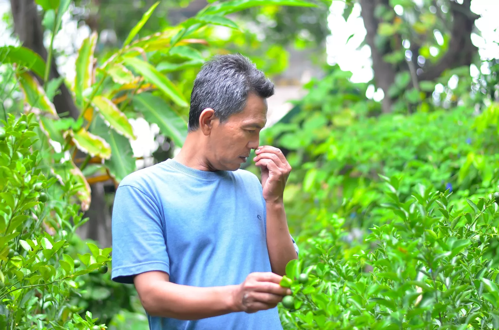 Dari Tanah Fasum Jadi Kampung Herbal, Inovasi Warga Nginden Jangkungan Butuh Perhatian