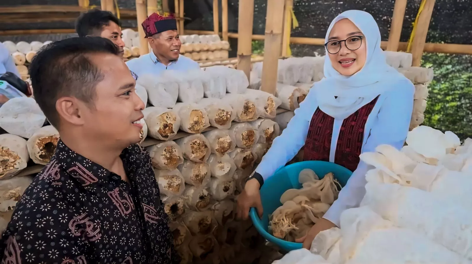 Ipuk Fiestiandani Panen Jamur, Bunga Desa di Wringinagung Kecamatan Gambiran