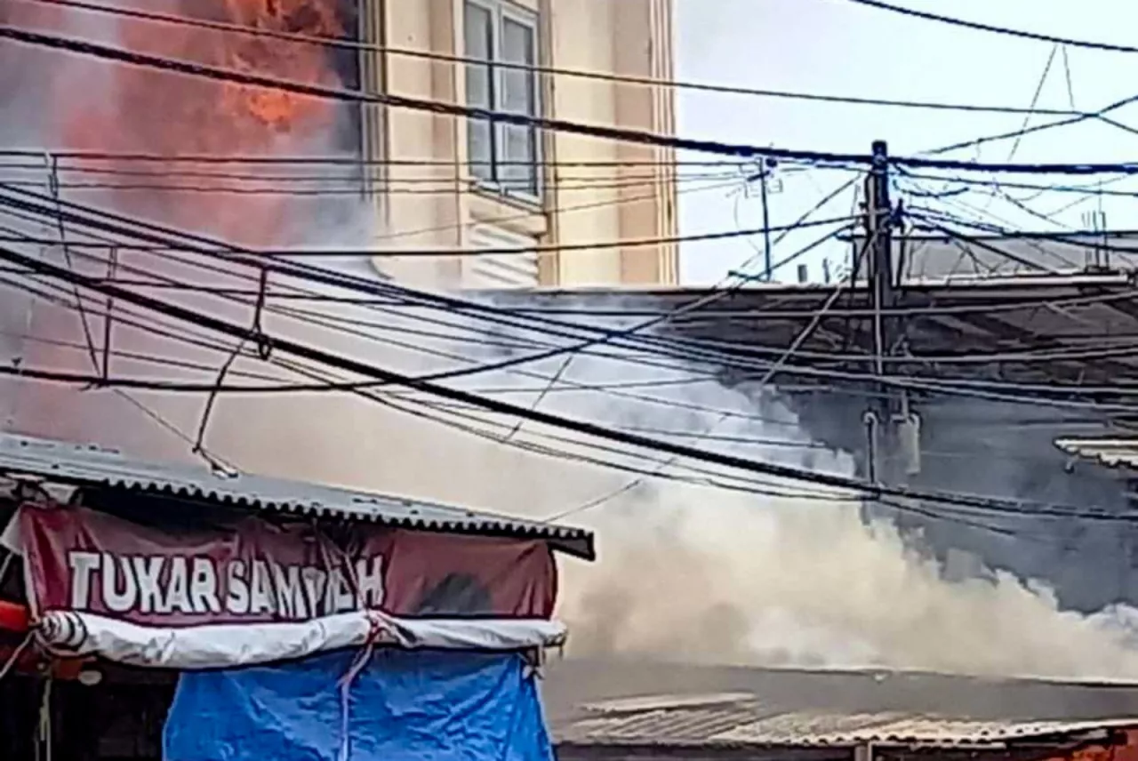 Petugas Damkar Evakuasi Pohon Tumbang di Jalan Panjang Kedoya, Jakarta Barat