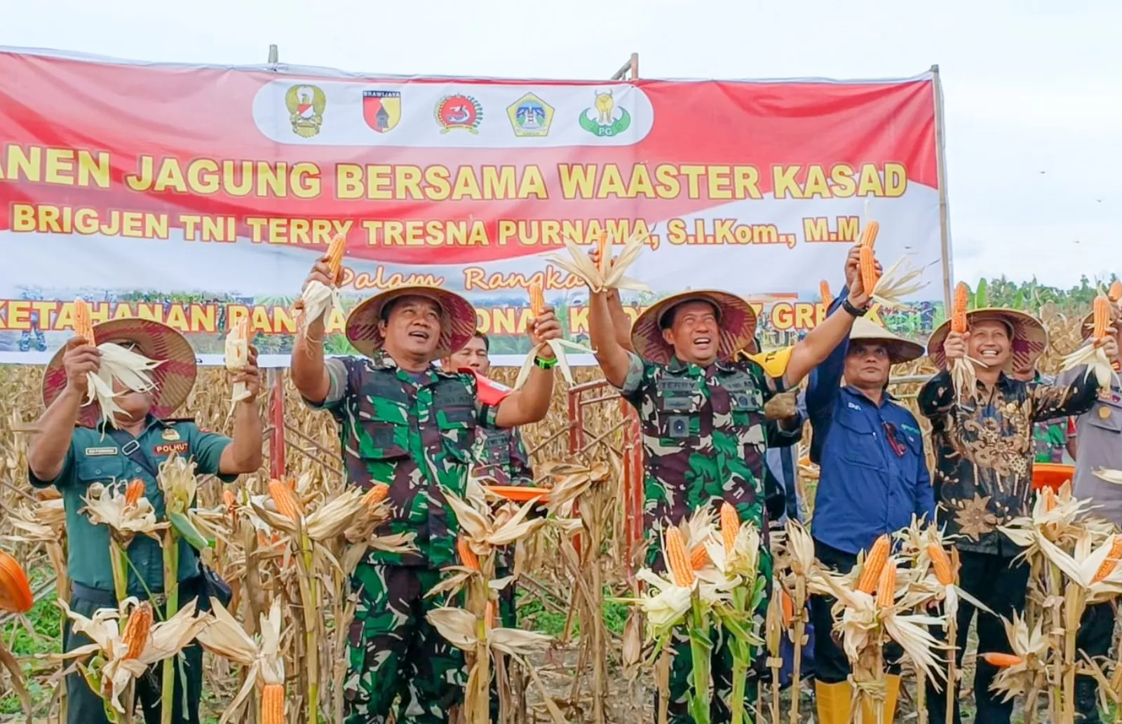TMMD ke-119 Dukung Ketahanan Pangan, Panen Jagung Bersama di Panceng, Kabupaten Gresik