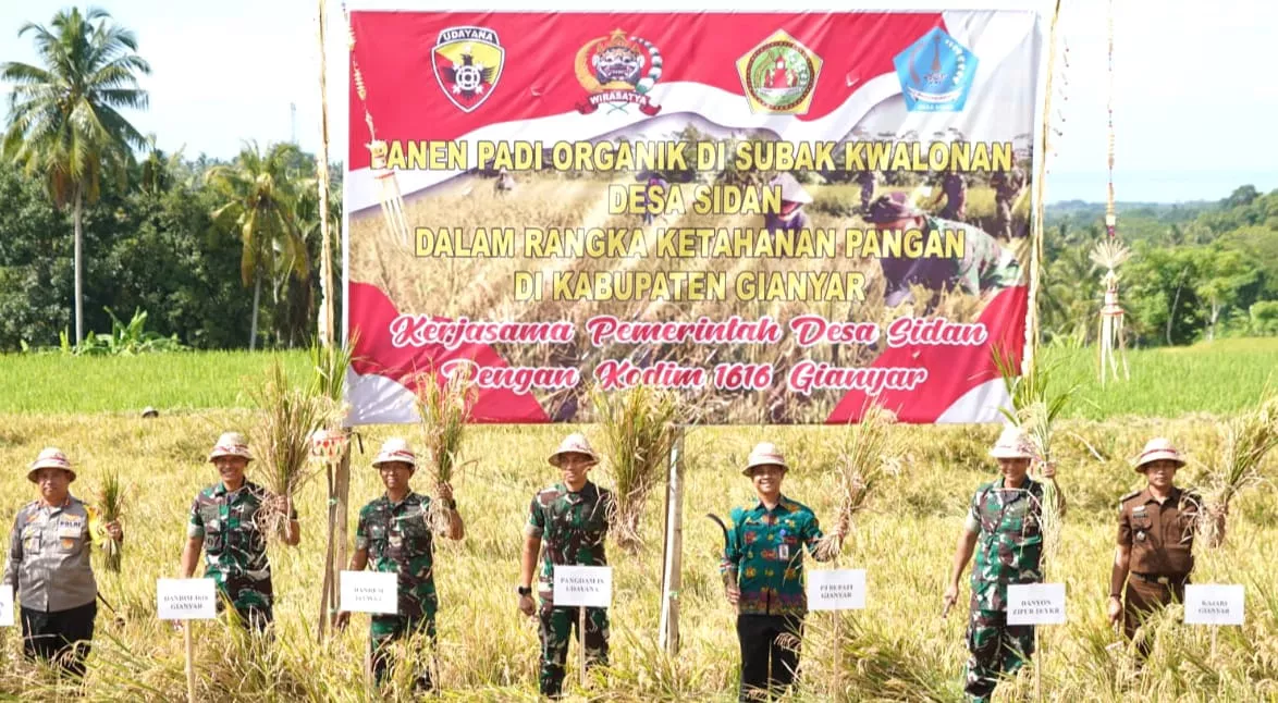 Pangdam IX Udayana Hadir di Panen Padi Organik, Kades Desa Sidan Ungkapkan Apresiasi