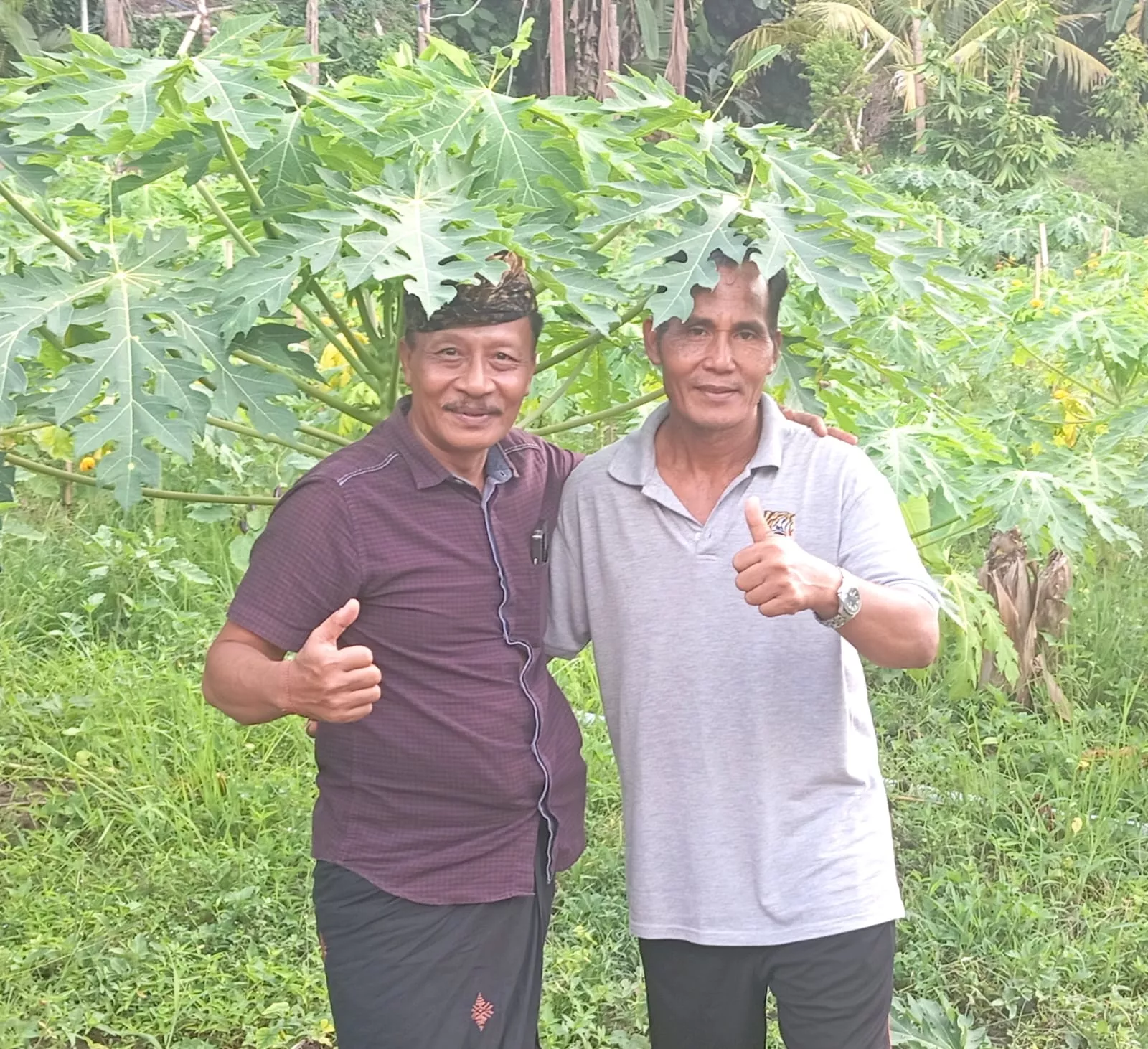 Transformasi Agro Wisata Tulikup: Potensi Destinasi Wisata Unggulan yang Ramah Lingkungan