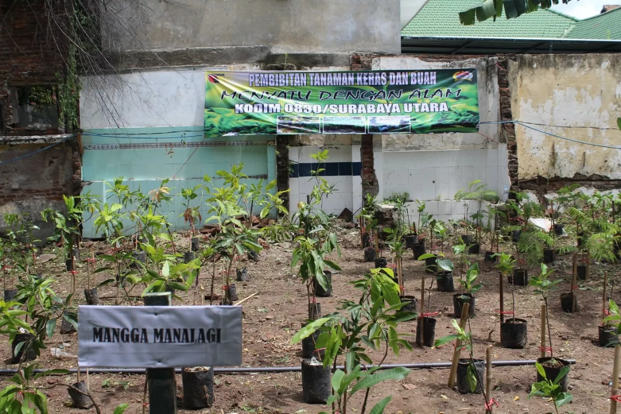 Kodim Surabaya Utara Gelar Pembibitan Tanaman Keras dan Buah di Rusun Johar III