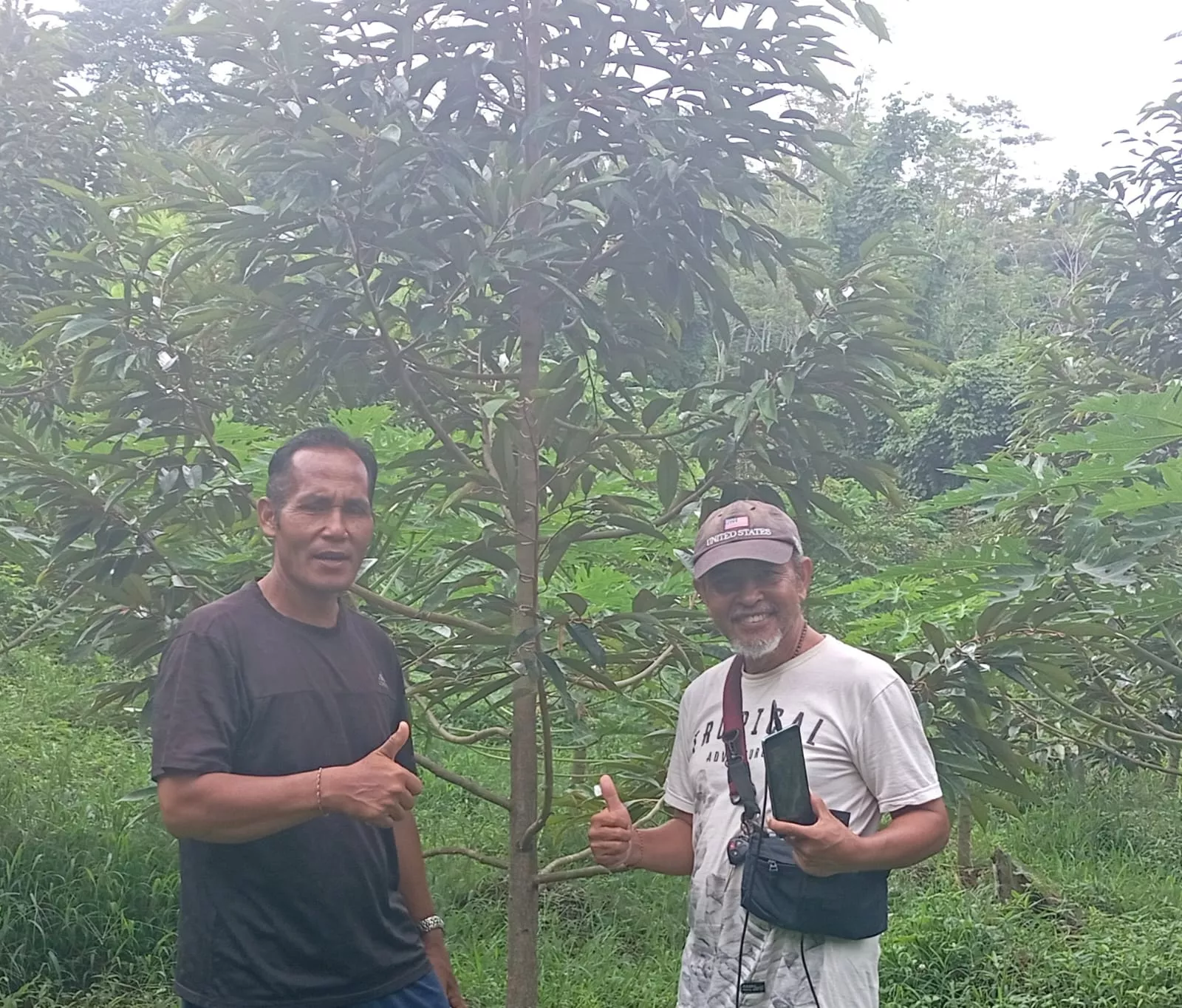 Agrowisata Tulikup Berkembang Pesat dengan Penanaman Durian Musangking dan Alpokat