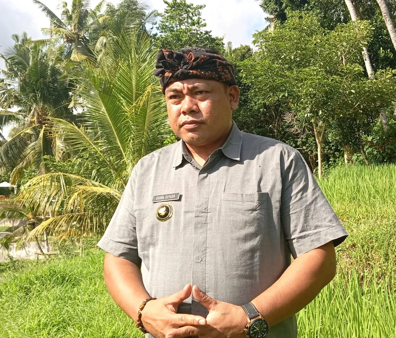 Desa Sidan Menjadi Pencontohan Pertanian Organik, Kolaborasi Dinas Pertanian Kabupaten dan Provinsi
