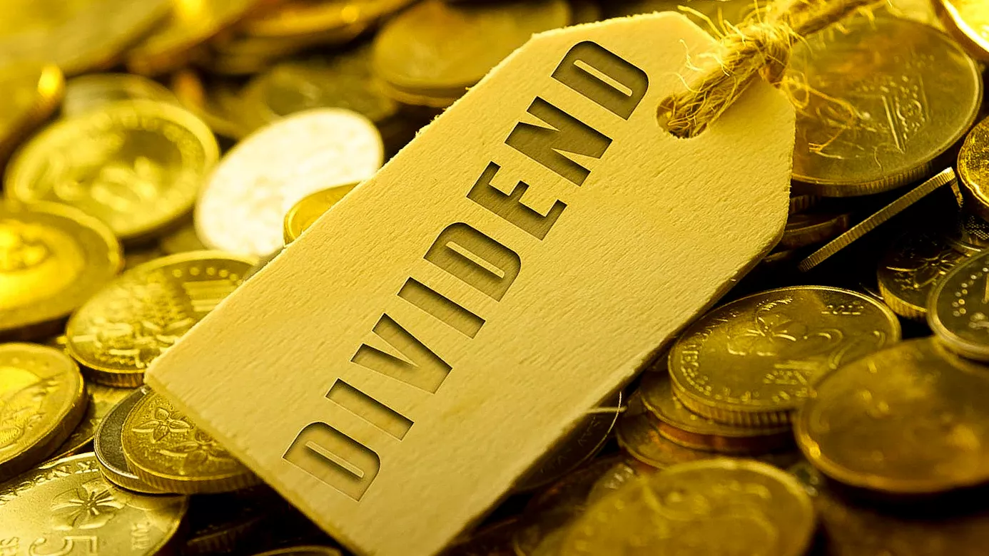 Dividen SMKL Anjlok 83,33% Terendah Sejak Melantai di Bursa Efek Indonesia pada Tahun 2020