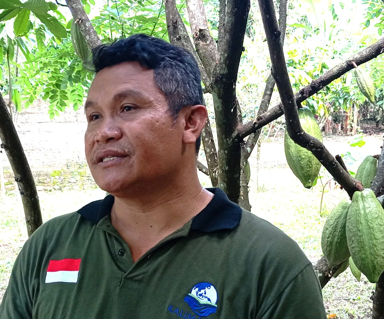 Ketua Koperasi Kakao Kerta Semaya Samaniya Berbagi Sukses dengan Petani Kakao