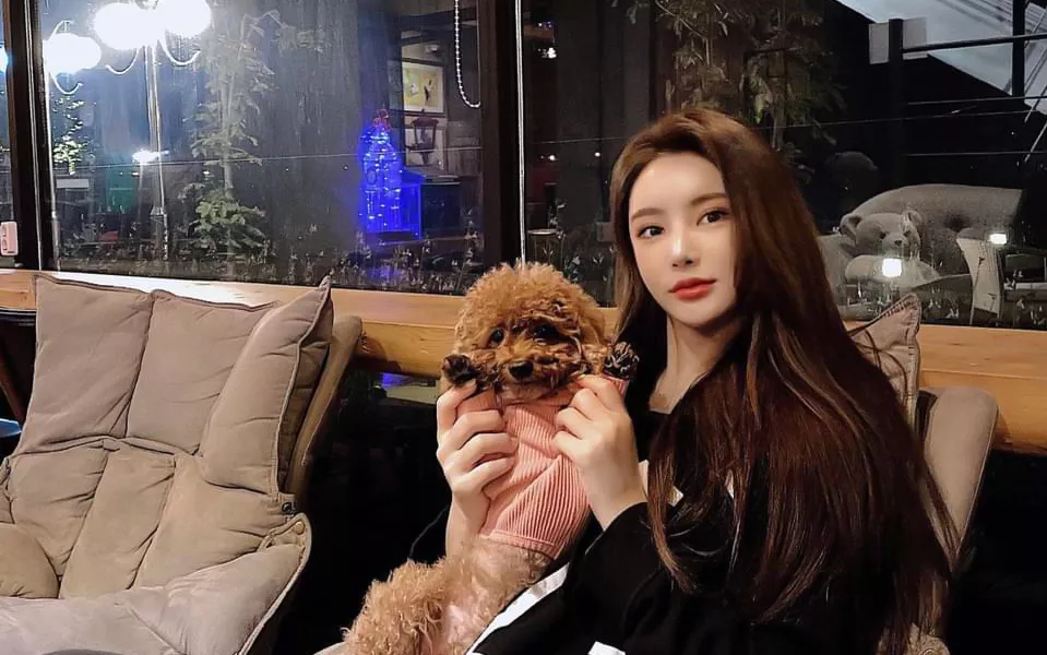 Mantan Idol Yesong Dituntut 15 Tahun Penjara atas Kecelakaan DUI yang Mematikan