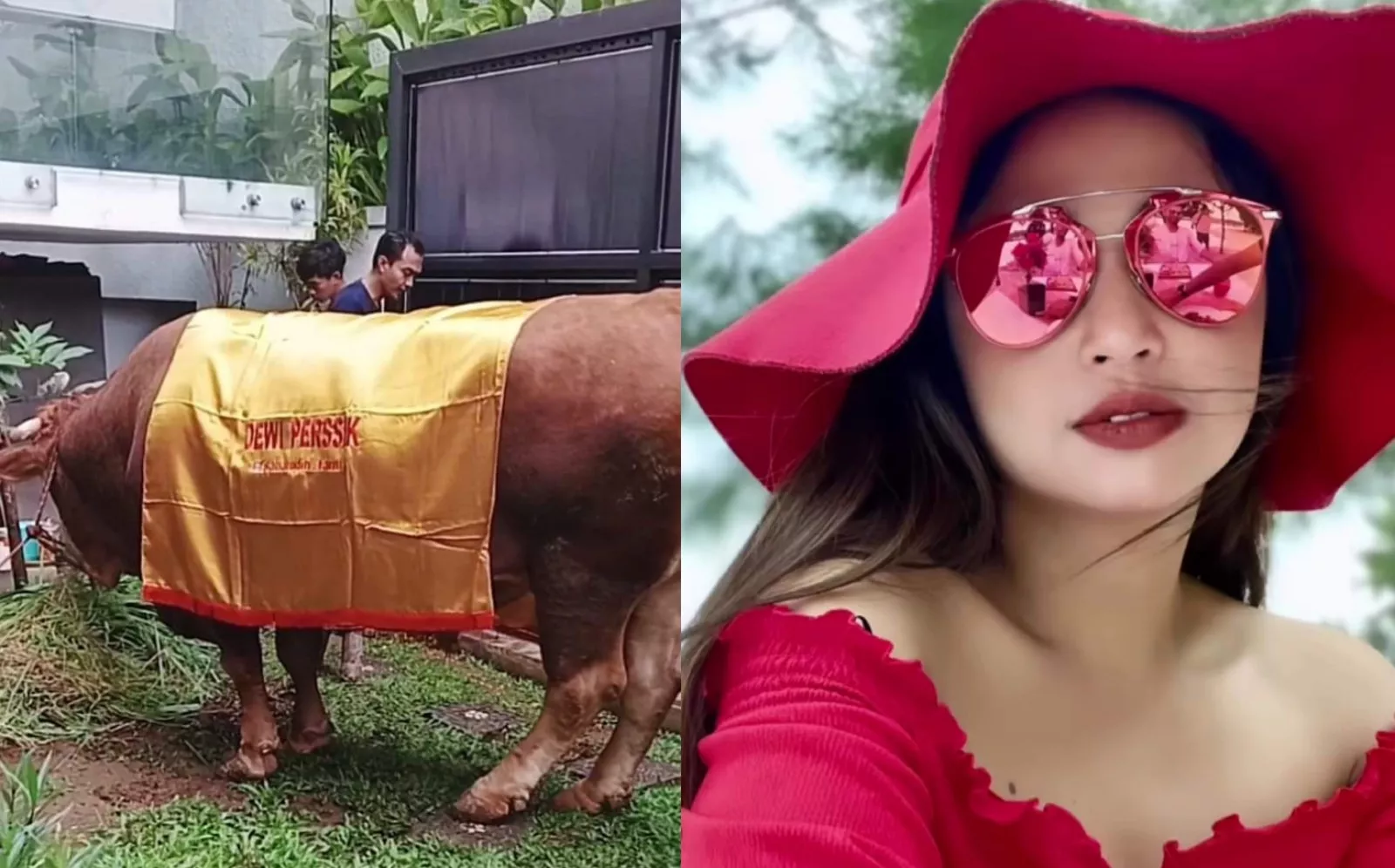 Dewi Perssik Pilih Sembelih Sapi di Rumah untuk Hindari Kesalahpahaman Bak Tahun Lalu