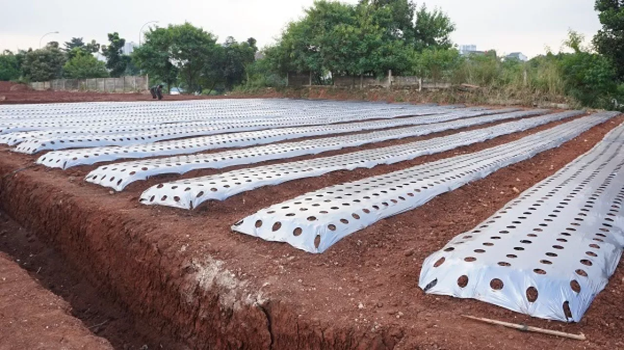 Kodim 0508/Depok Transformasi Lahan Tidur Menjadi Lahan Produktif