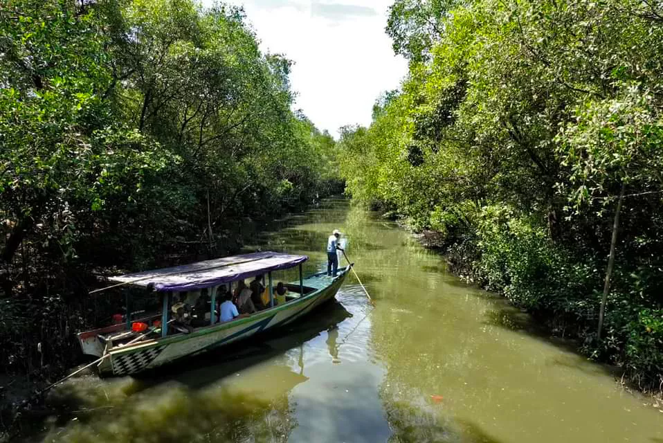 Pemkot Surabaya dan WVI Gelar Konservasi Mangrove di Gunung Anyar