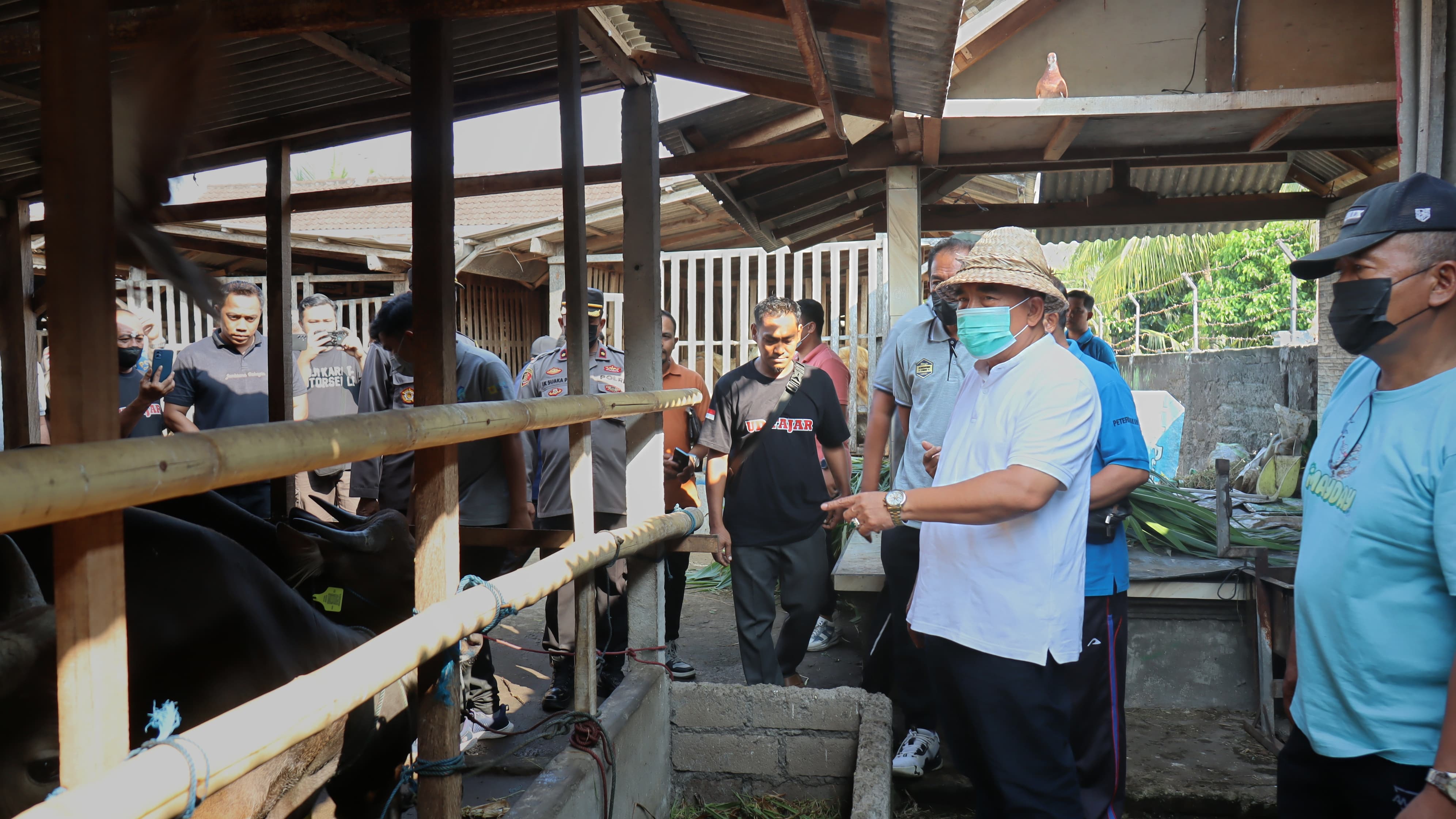 Bupati Tamba Pastikan Kesehatan Hewan Kurban Jelang Idhul Adha