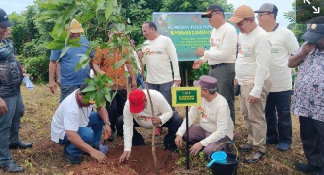 Kejaksaan Tinggi dan Pemprov Papua Barat Tanam 200 Pohon di Manokwari Selatan