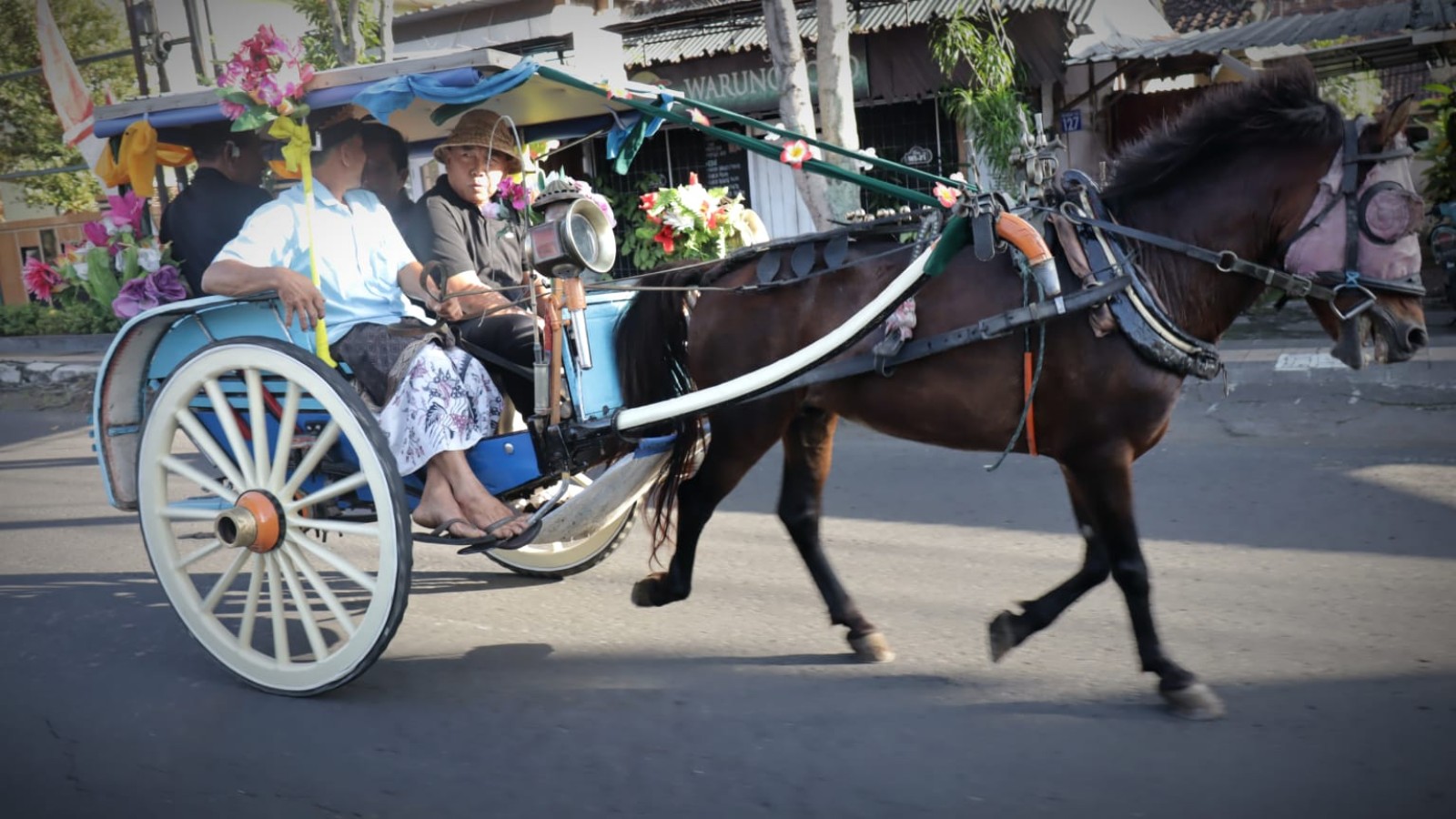 Revitalisasi Dokar di Jembrana, Langkah Strategis Pemkab Dongkrak Pariwisata