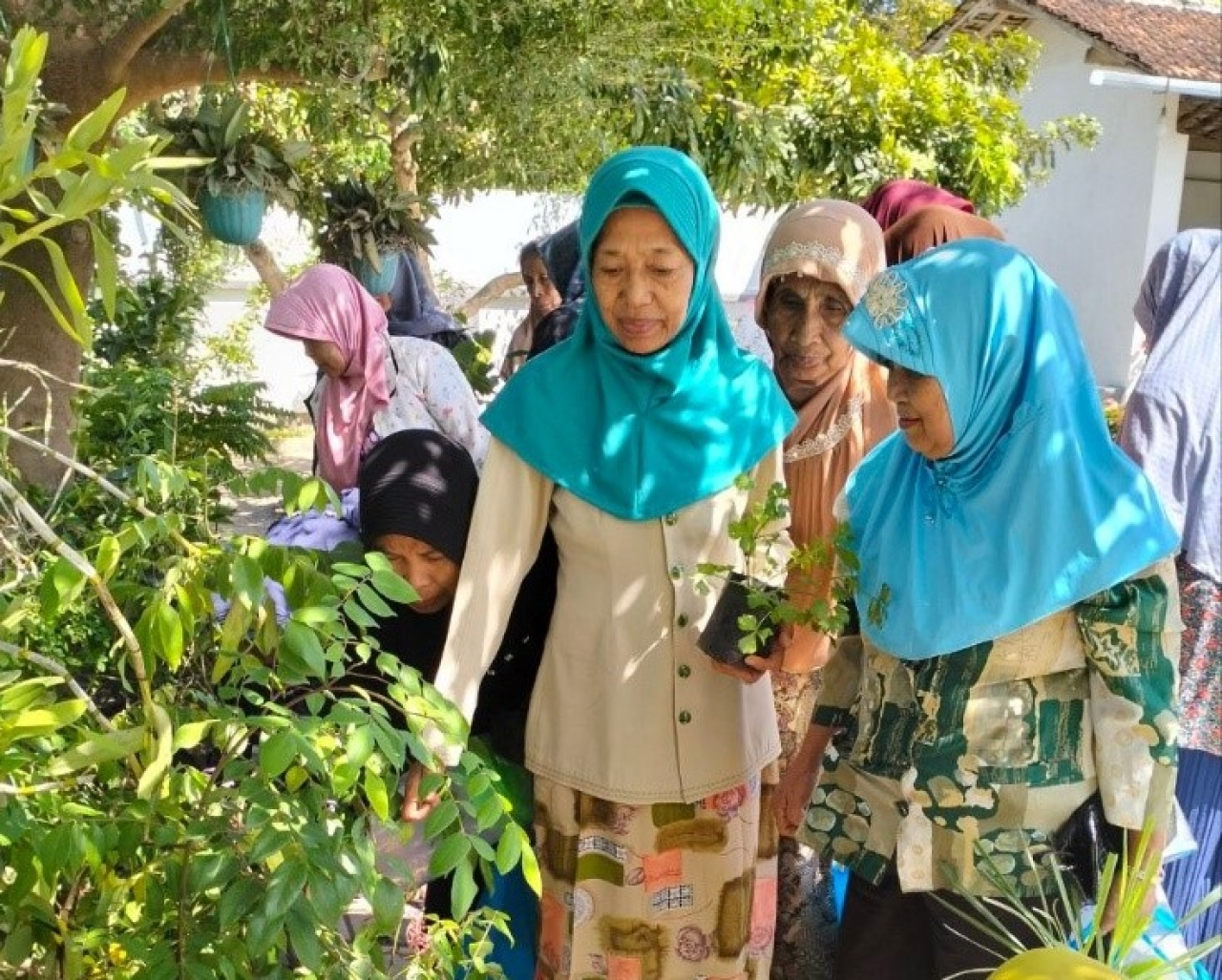 SPs Unair Latih Warga Wates Tulungagung Kelola Jamu dari Tanaman Herbal