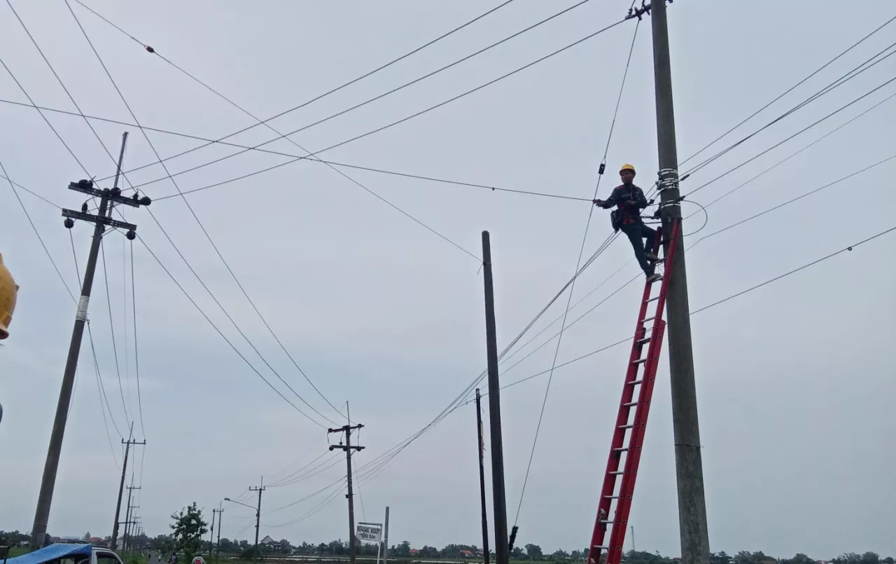 Laksanakan Penataan dan Pendataan Kabel Ilegal di Tiang PLN Sidoarjo, PLN Icon Plus Konsisten Jaga Keandalan Jaringan