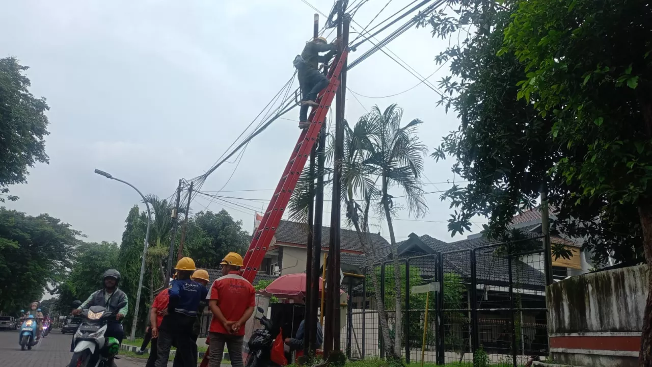 Langkah Proaktif PLN Icon Plus Tertibkan Kabel Ilegal di Tiang PLN Kota Surabaya Guna Estetika dan Keandalan Jaringan