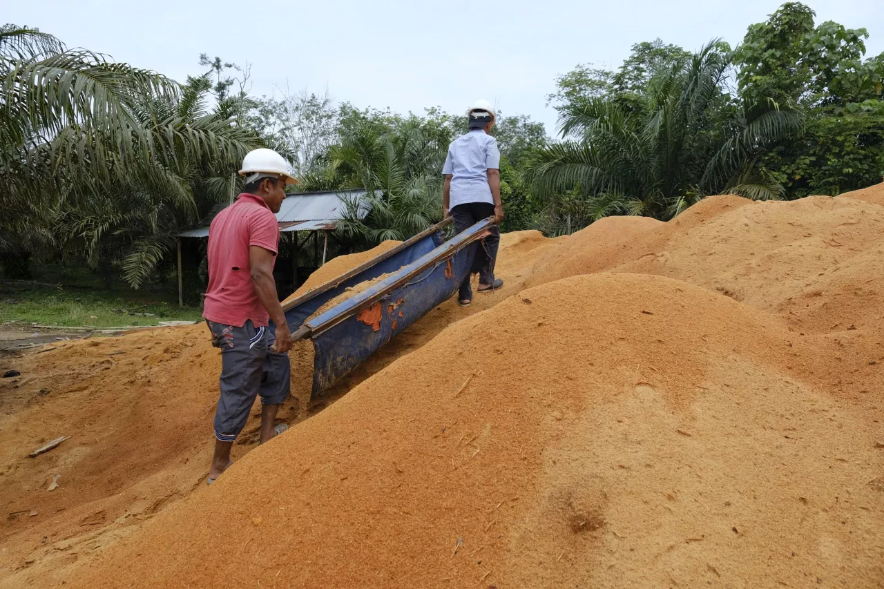 Tahun Baru Imlek, PLTU PLN Hasilkan 1,67 Juta MWh Listrik Hijau di 2024 dengan Co-Firing Biomassa