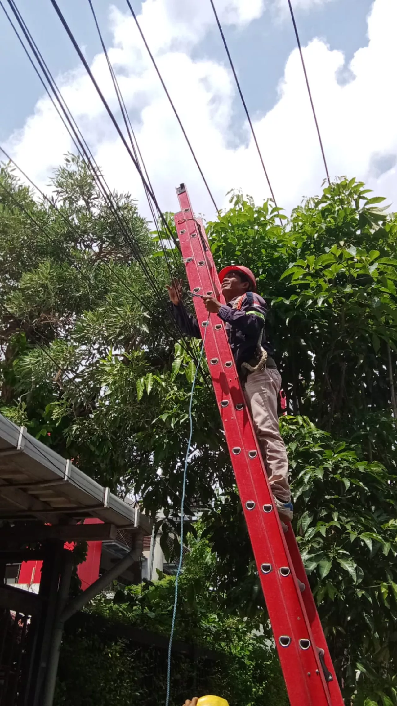 PLN Icon Plus dan Pemkot Surabaya Kolaborasi Tertibkan Kabel Ilegal untuk Tingkatkan Estetika dan Keandalan Jaringan