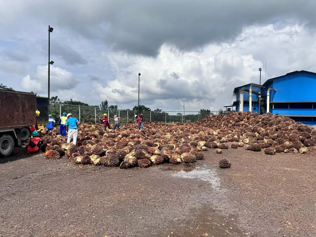 Sambut Ramadhan PLN Suplai Listrik Hijau, PT Inecda Plantation Serap 592 Unit REC