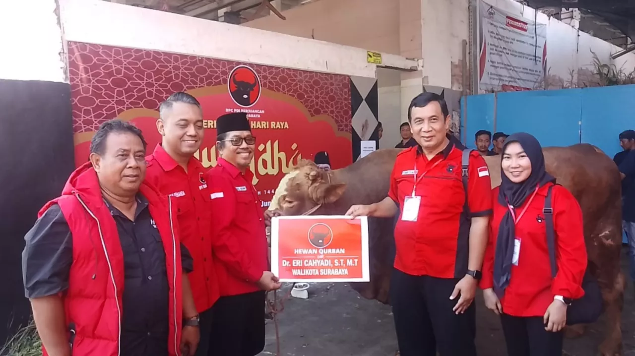 Wujud Gotong Royong, PDIP Surabaya Kurban 12 Sapi Tambun