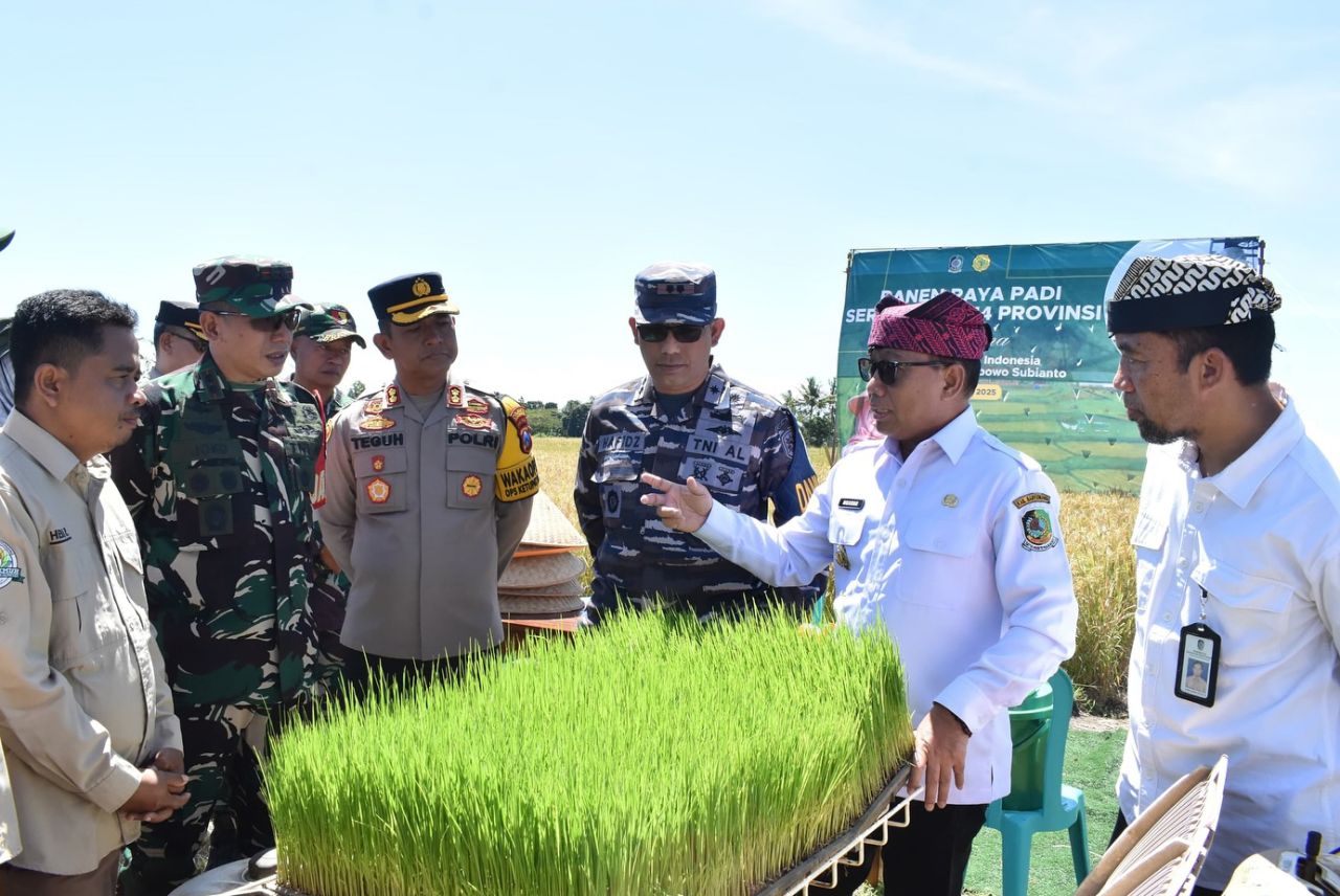 Dukung Swasembada Pangan Nasional, Banyuwangi Gelar Panen Raya Padi Serentak