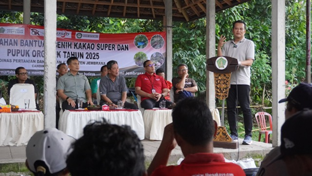Kembang Ipat Salurkan Ribuan Bibit Kakao Super dan Pupuk Organik