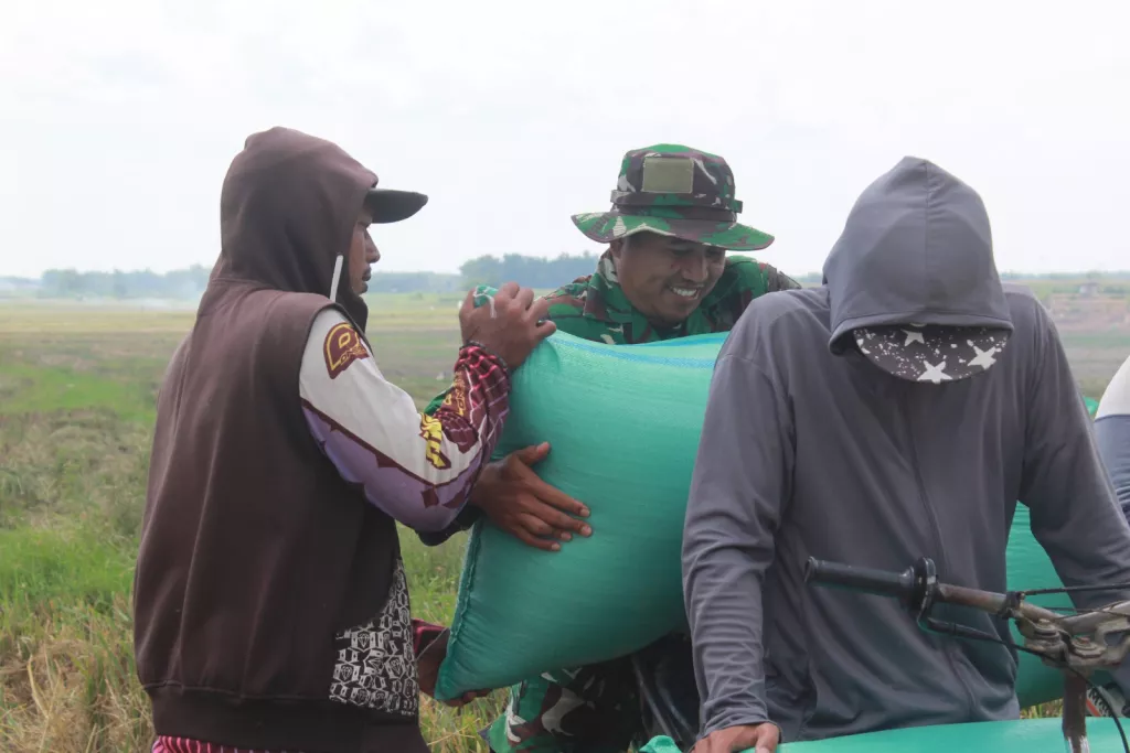 Manfaatkan Waktu Luang, Anggota Satgas TMMD Bantu Petani Angkat Gabah di Sawah