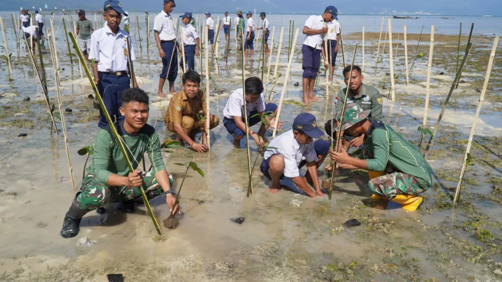 Satgas TMMD Ke-129 Kodim 1311/Morowali Bersama Warga Tanam 1.000 Pohon Mangrove di Kepulauan Umbele