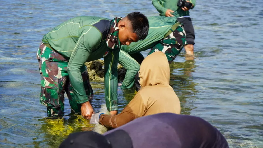 Satgas TMMD Ke-129 Turun Menyelam Periksa Kebocoran Pipa Air Bersih di Laut