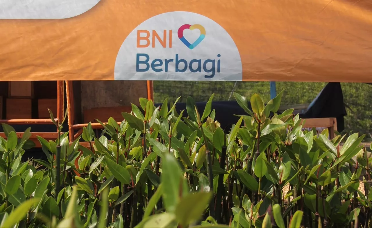 BNI Perkuat Pelestarian Mangrove, Tanam 258 Ribu Bibit Demi Dukung Ekonomi Pesisir
