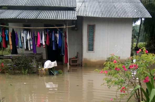 Curah Hujan Tinggi, 150 KK di Kabupaten Lampung Timur Terendam Banjir