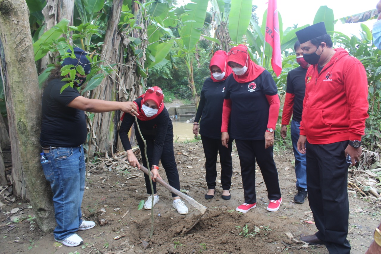 HUT 48 PDI Perjuangan, DPC Kota Medan Tanam Pohon Disejumlah Titik Secara Serentak