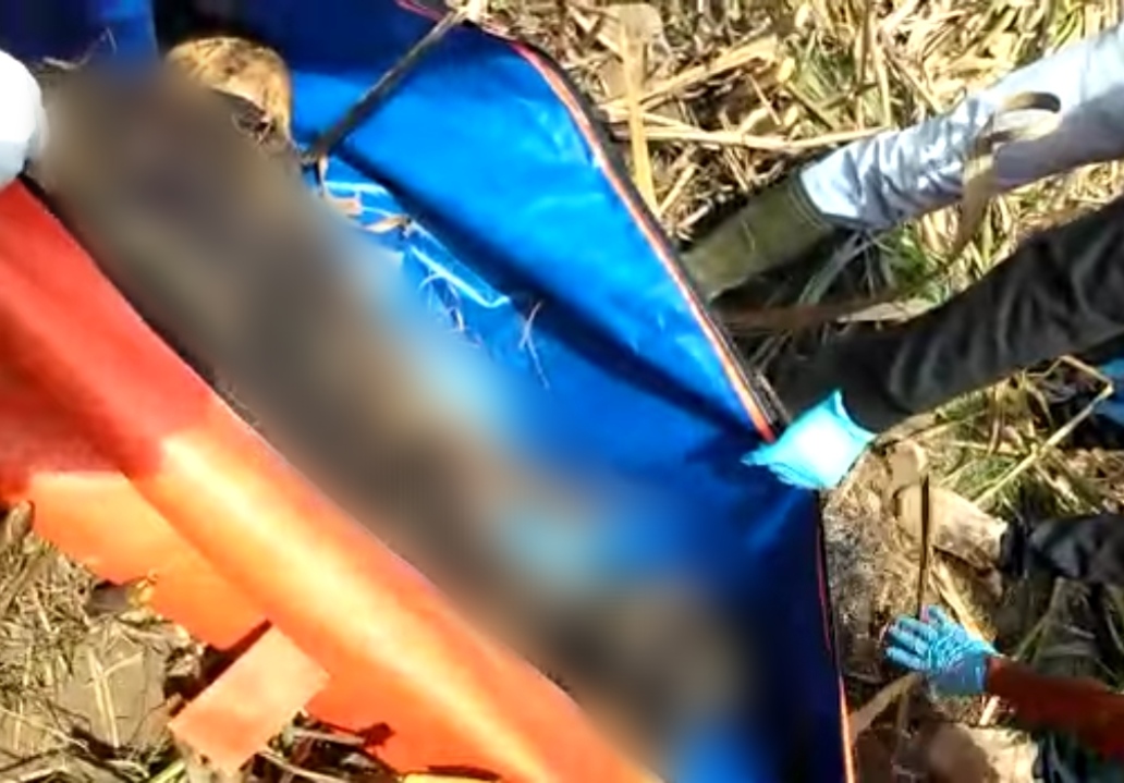 Mayat Membusuk di Tengah Kebun Tebu, Warga Glenmore Geger