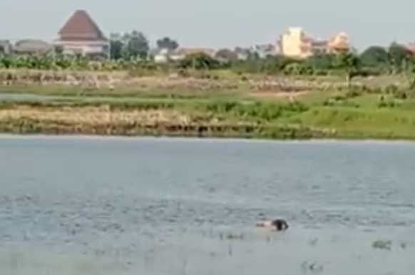 Mayat Mengambang di Waduk Bunder Gresik, Warga Banjarsari Geger